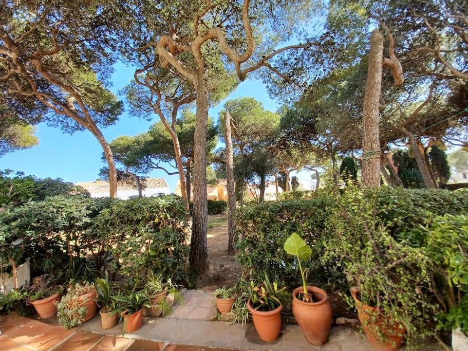 Apartamento Roc Mar Llafranc Esterno foto