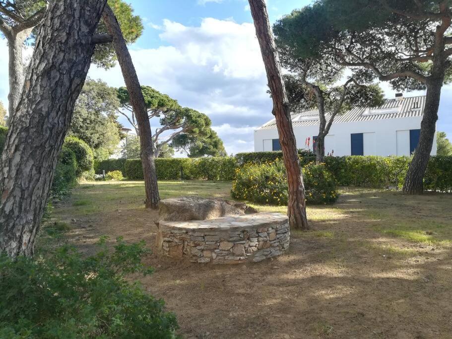 Apartamento Roc Mar Llafranc Esterno foto